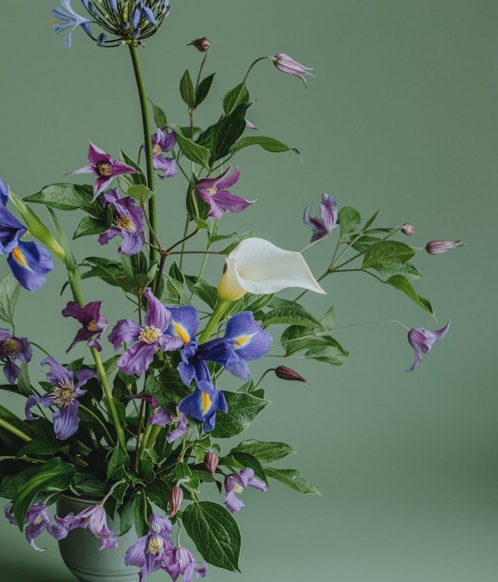 Blumenarrangement IONOS_Vorlage